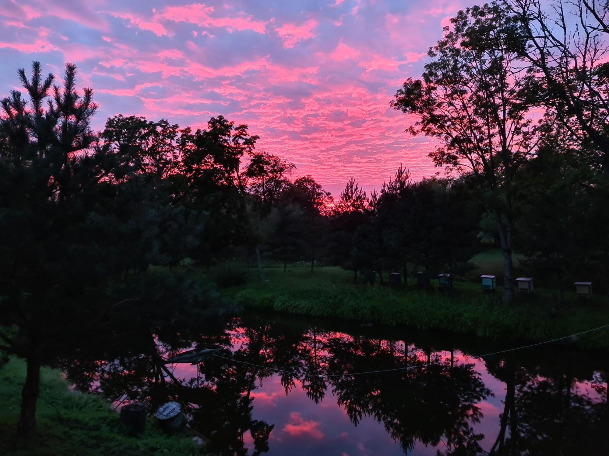 Vila Dubysa Milasaiciai  Exteriör bild